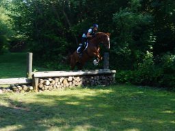 dsc06011_web